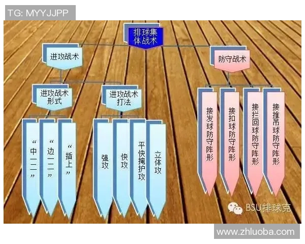 深圳排球队在冠军赛中的速度表现分析与战术探讨